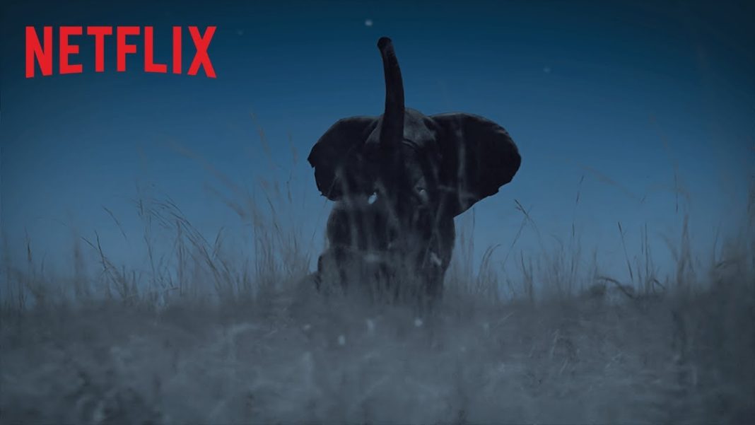 La Terre, La Nuit Netflix