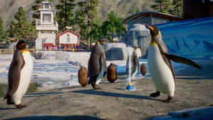 Planet-Zoo_Aquatic_Paid_Screenshots_Penguin_03_3840x2160