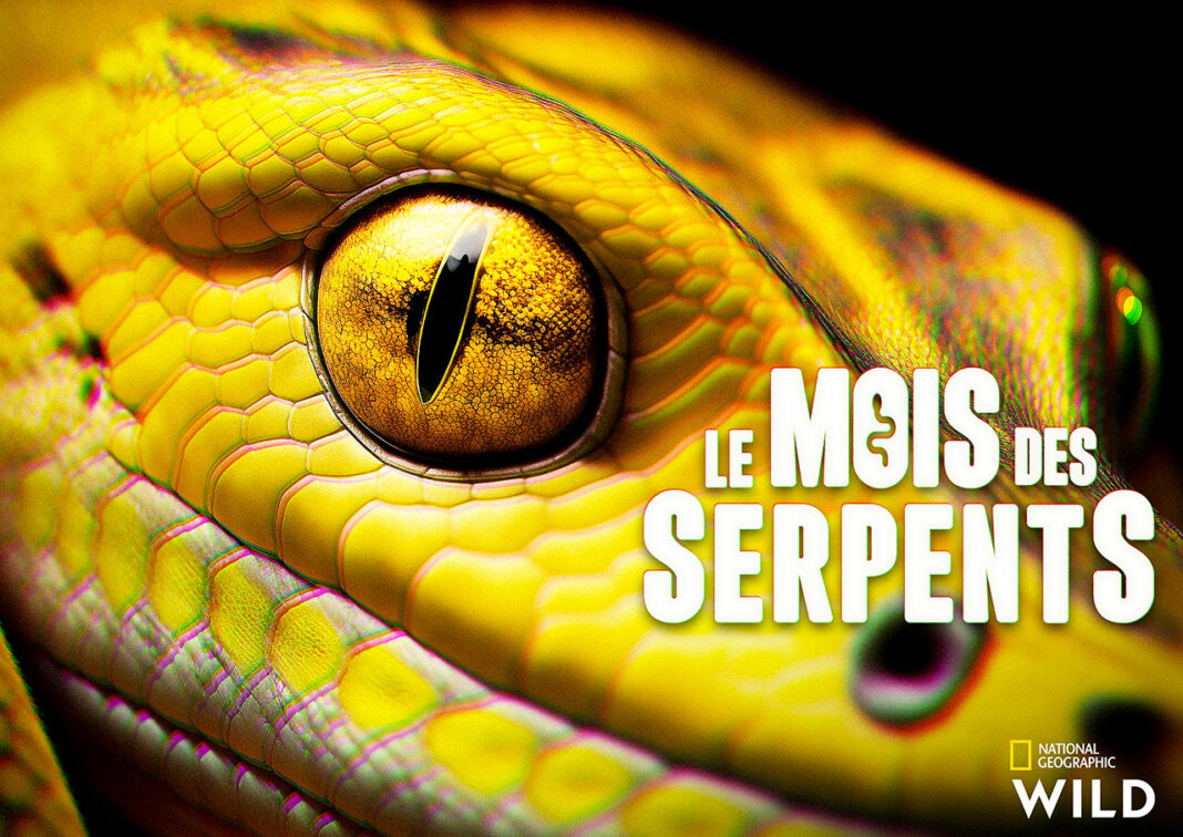 Le-mois-des-serpents National Geographic Wild