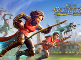 Harry Potter : Champions de Quidditch