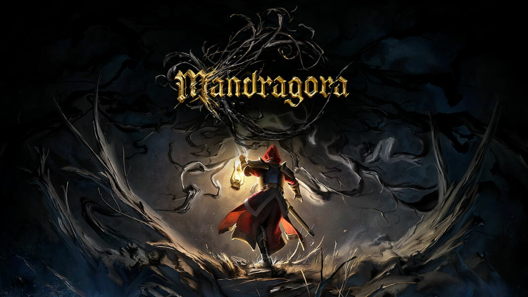 Mandragora