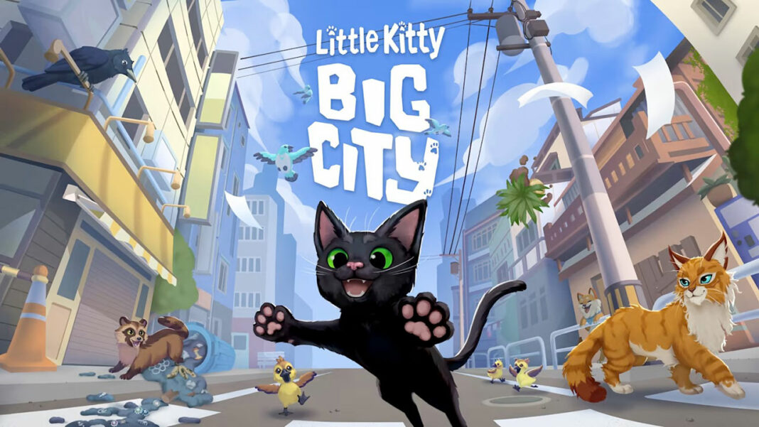 Little Kitty Big City