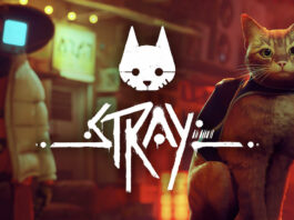 Stray