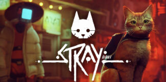 Stray